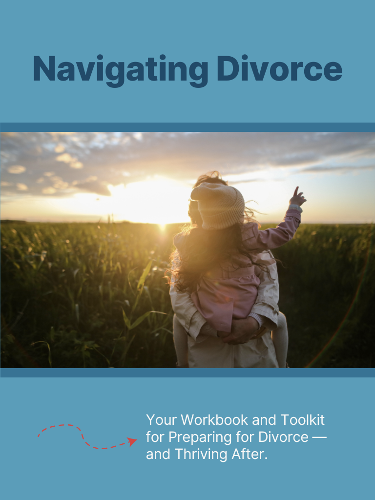 The Divorce Preparation Workbook cover